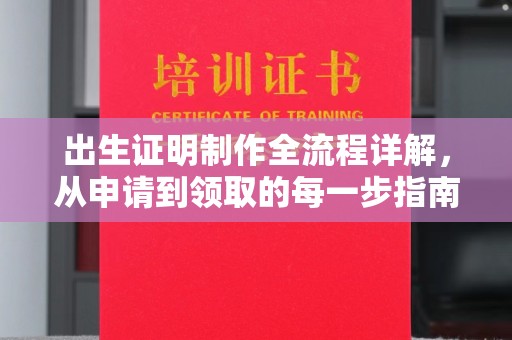 岚皋出生证明制作全流程详解，从申请到领取的每一步指南