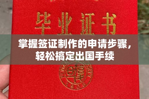 岚皋掌握签证制作的申请步骤，轻松搞定出国手续