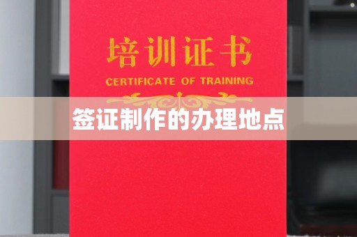 岚皋签证制作的办理地点