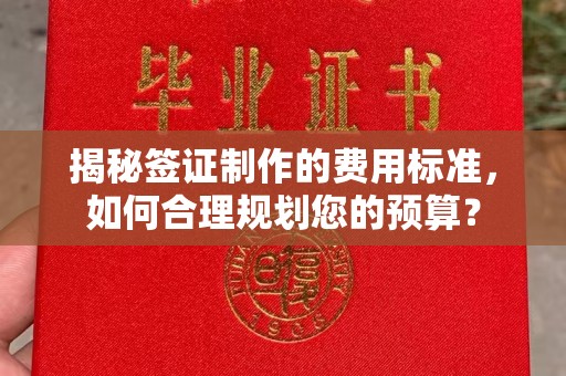 岚皋揭秘签证制作的费用标准，如何合理规划您的预算？