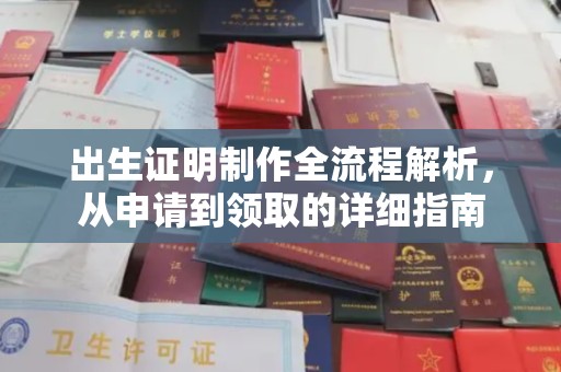 岚皋出生证明制作全流程解析，从申请到领取的详细指南