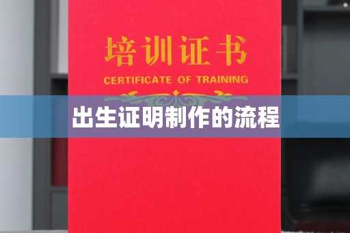 岚皋出生证明制作的流程
